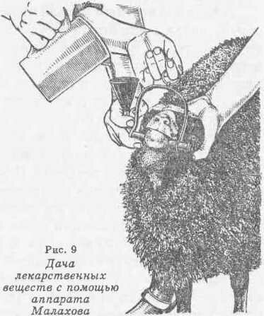 Дача лекарственных веществ с помощью аппарата Малахова