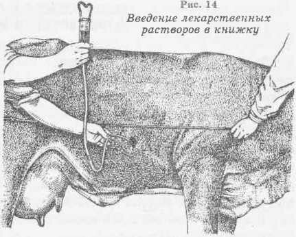 Введение лекарственных растворов в книжку