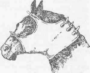 Рис. 25 Фиксация припарок и согреваюгцих компрессов к области глотки и гортани