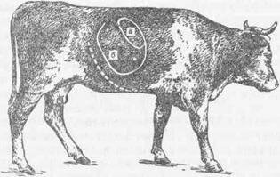  . 71        ()       ;     .      (   14,6 ). 