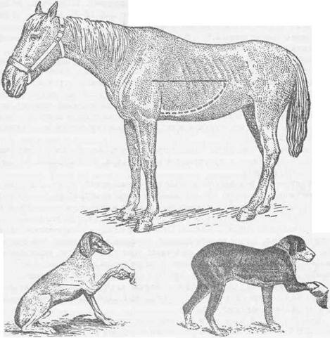   .. 92       . 93           . 94              