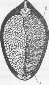  . 96 ѱ   1 - ,    * ; 2  ,  . 