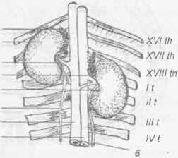    (  )  ) I   ; 2   : 3     ; 4   : 5   ; 6  : 7    ; 8   .<div class=