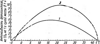     .     Artemisia turanica (- ,   . .  ., 1973)