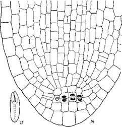 Рис. 9 (продолжение).