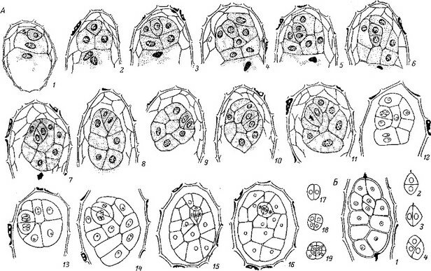 Рис. 10 (продолжение).