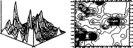 Рис. 5.2. Горизонтальная структура популяции птицемлечника зонтичного OrnithogaJum umbellatum в трехмерном и двумерном представлении. Пики и сгущения соответствуют группам особей при контагиозном размещении (по В.В. Кричфалуший, 1994)
