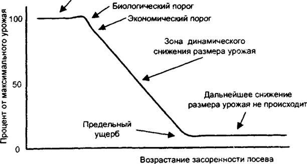 Рис. 8.5. Соотношение продуктивности вида А, вида ? и их смеси