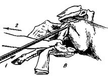 . 92.   ,    :   ;    ;    (/    ; 2   )