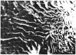 . 26.    ( . .   . . - ):