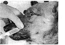 . 2.      (6, )      . . :