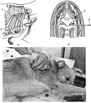 . 9.          ( . , ):