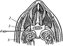 . 12.          . . :    ;