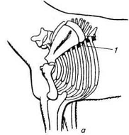 . 12.          . . :    ; 1       ; 2      ; 3    ; 4    ; 5     ; 6  ; /