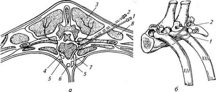 . 14.  -  --    . 3. :