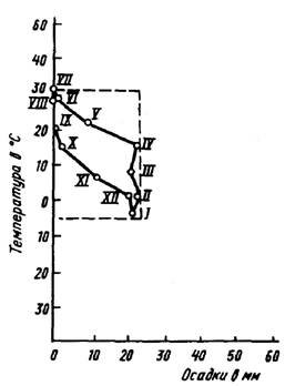 Рис.5.Климограмма г. Бухара (по В.В.Яхонтову, 1969): ось абсцисс - среднее количество осадков за месяц, ось ординат - среднемесячная температура, римскими цифрами обозначены месяцы года.