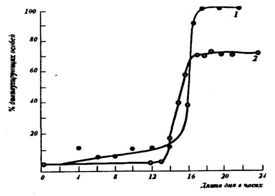 Рис.11. Короткодневная фотопериодическая реакция насекомых 7-цикадка Stenocranus minutes F. при 20°С, 2 - тутовый шелкопряд Bombyx топ L. при 15° С (А.С. Данилевскому, 1961)