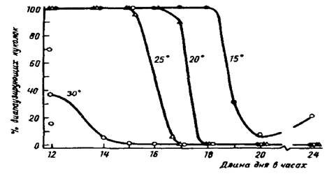 Рис.14. Зависимость критической длины светового дня у щавелевой совки Acronycta rumicis L. от температуры, при которой происходило развитие гусениц (по А.С.Данилевскому, 1961)