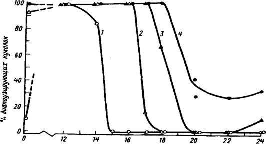 Рис.15. Географическая изменчивость фотопериодической реакции щавелевой совки Acronycta rumicis L. 1 - сухумская, 2 - белгородская, 3 - витебская и 4 - петербургская популяции (по А.С.Данилевскому, 1961)