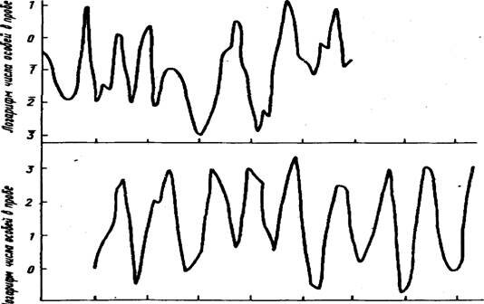 Рис.28. Многолетние колебания численности двух видов бабочек. Вверху - сосновая пяденица Bupalus piniarius L. в сосновом бору близ Литцлингена (Германия); внизу - лиственничная листовертка Zeiraphera griseana Hbn. в лиственничном лесу долины Энгадин (Швейцария) (по Ю. Одуму, 1986)