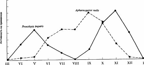                . (Lynch et al., 1980.) 