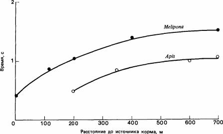 Соотношение между расстоянием до источника пищи и длительностью звукового сигнала у Apis mellifera и Melipona quadrifascia- ta. (Esch et al., 1965.)