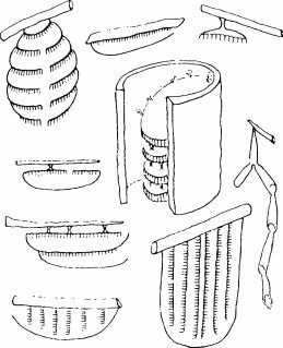Гнезда некоторых общественных ос. (Evans, West-Eberhard, 1973.)