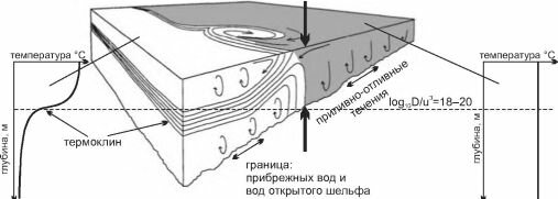 Формирование прибрежного фронта