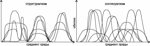 Различия структурализма и континуализма в представлении континуалистов
