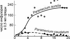 Динамика популяций инфузорий Paramecium aurelia и P. caudatum в совместной культуре По G.F. Gause, 1934 из: Гилярова (1990)