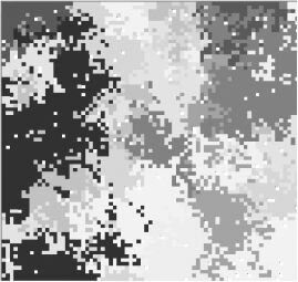 Распределение видов в пространстве в том же опыте