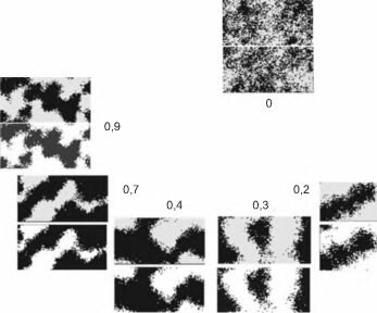 Влияние силы связи видов на их распределение.