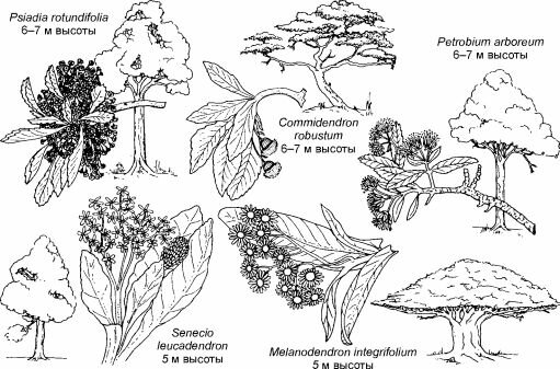   -  .  , Moore (2000).