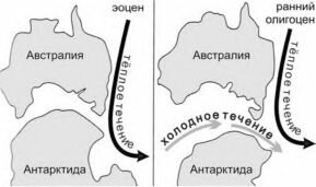 Становление циркумантарктического течения