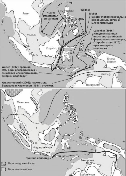 Положение границы между австралийской и азиатской биотой по разным авторам
