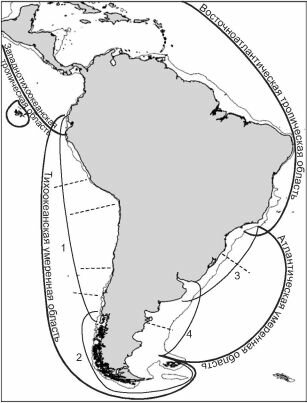 Районирование южноамериканского шельфа по степени значимости зоогеографических границ
