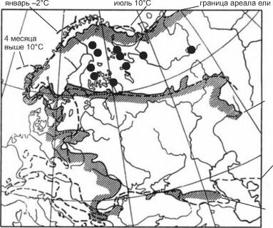     Picea abies   Quercus robur     Fagus sylvatica     ( ).  , 1982)