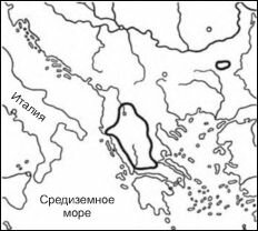     Aesculus hippocastanum.   (1956)