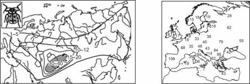 Центры разнообразия покрытосеменных рода смолёвка Silene. По Thompson, 1973)