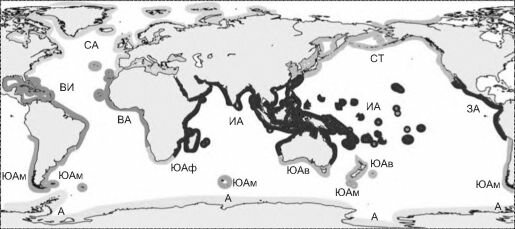 Фитогеографическое районирование Мирового океана по макрофитам Ю.Е. Петрова (1974)