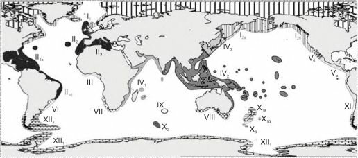 Зоогеографическое районирование шельфа О.Н. Зезиной (1971)