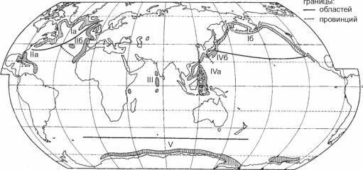 Районирование батиали Мирового океана по брахиоподам О.Н. Зезиной (1973).