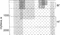 Рис. 6.15. Упрощение широтной биогеографи- ческой структуры с глубиной на примере брахиопод западной части Тихого океана