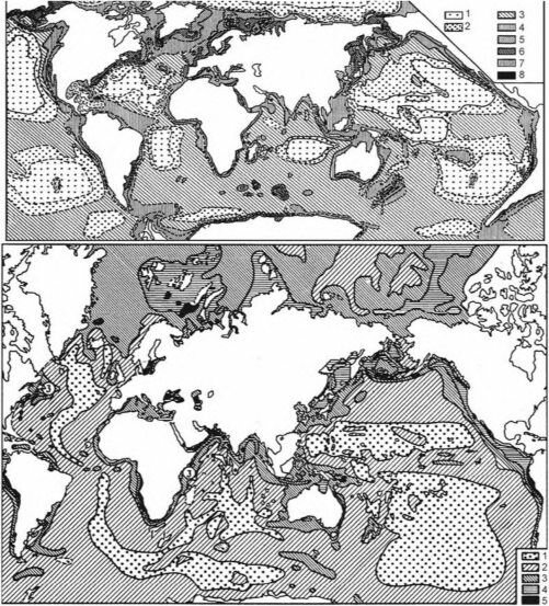 Распределение биомассы бентоса (вверху) и содержание органического вещества в донных осадках (внизу)