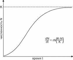Логистическая кривая роста численности популяции