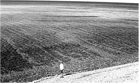 Распределение сообществ, видимое с берега (Чёрное море).