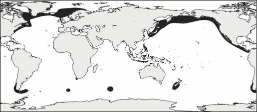 Распространение сообществ, в которые входят разные виды морских ежей рода Brisaster