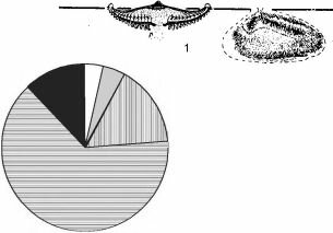         .  ..  (1980).    . 3.8.