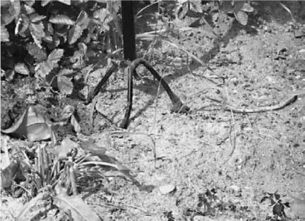 Рис. 7. Рыхление земли «Крабом»