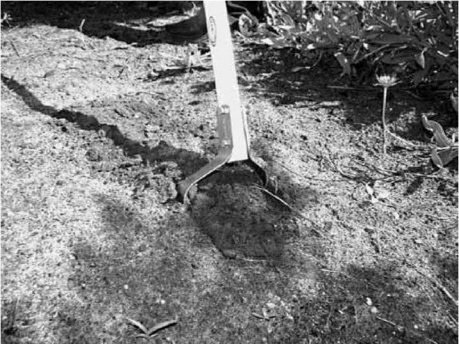 Рис. 10. Глубокое рыхление «Аистом»